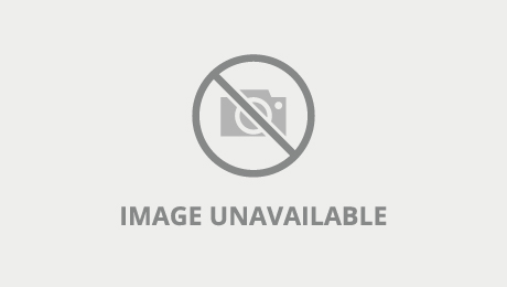 Sex hungry doxy's hairy pussy action